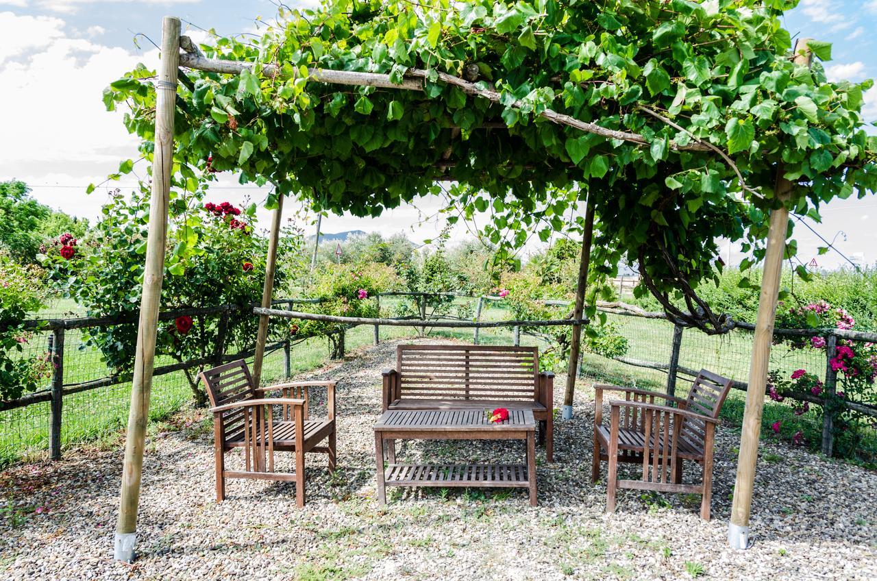 Agriturismo Il Roseto Marina di Grosseto Luaran gambar